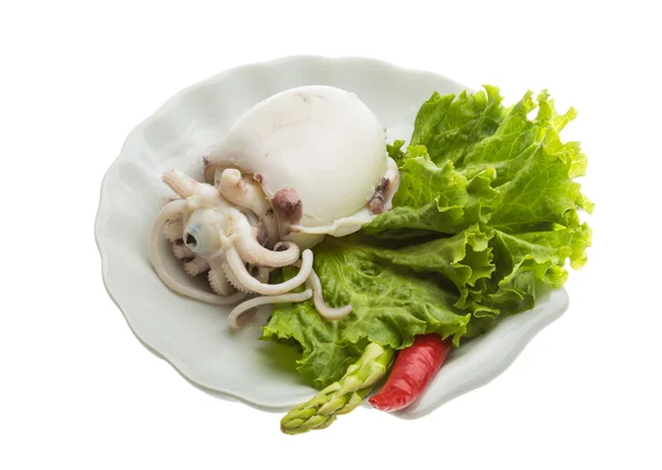 Boiled cuttlefish — Stock Photo, Image