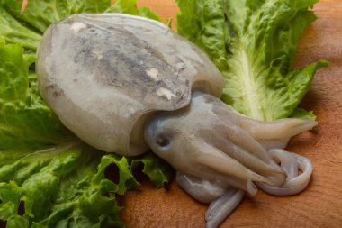 ham mürekkep balığı