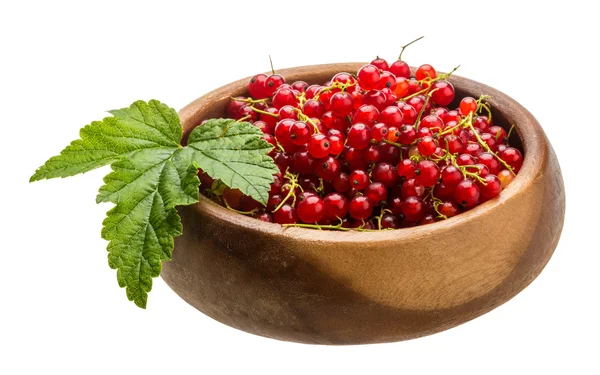 Red currant — Stock Photo, Image