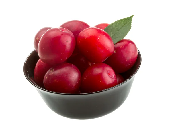 Ciruela de Damson — Foto de Stock