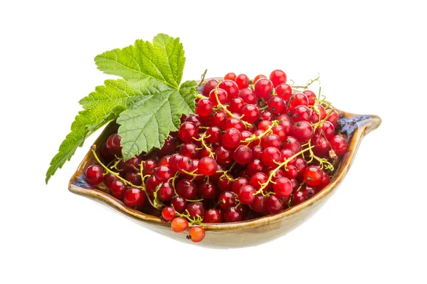 Red currant — Stock Photo, Image