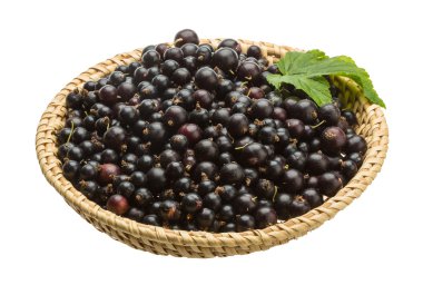 Siyah frenk üzümü