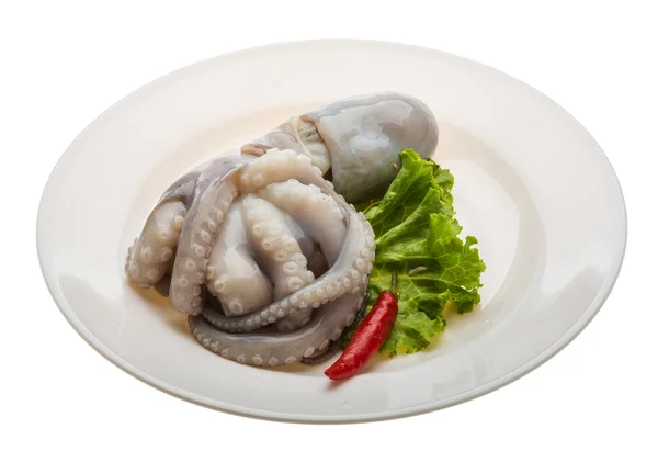 Raw octopus — Stock Photo, Image