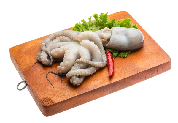 Raw octopus — Stock Photo, Image