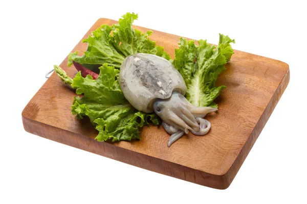 Raw cuttlefish — Stock Photo, Image