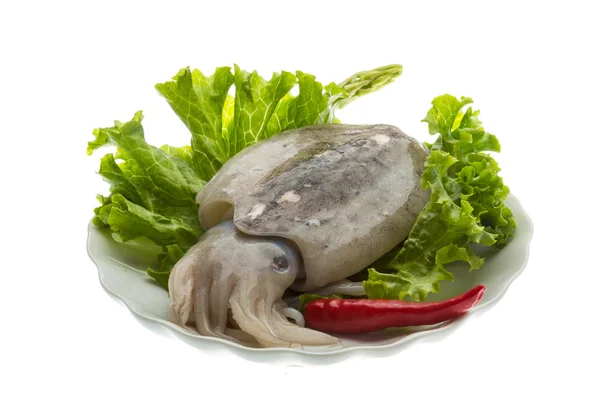 Raw cuttlefish — Stock Photo, Image