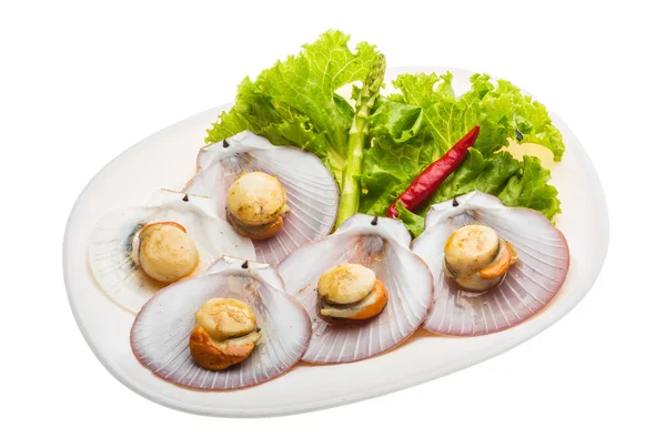 Grilled scallops — Stock Photo, Image