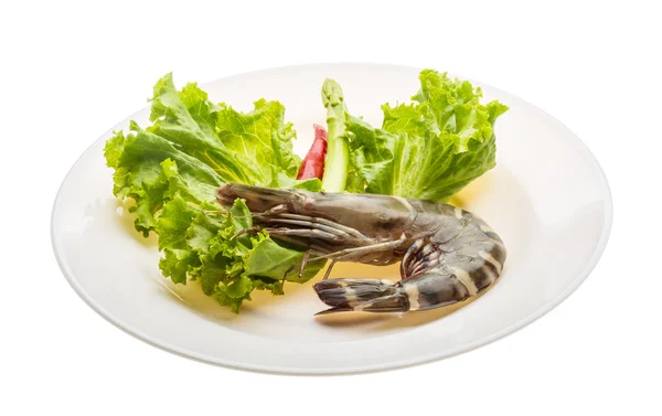 Tiger prawn — Stock Photo, Image