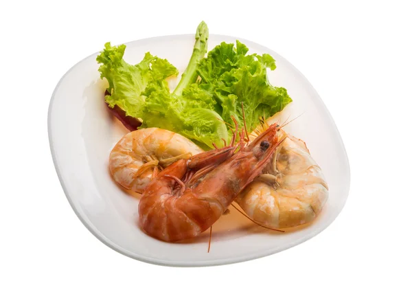 Boiled king prawns — Stock Photo, Image