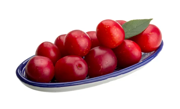 Plum Damson — Stok Foto