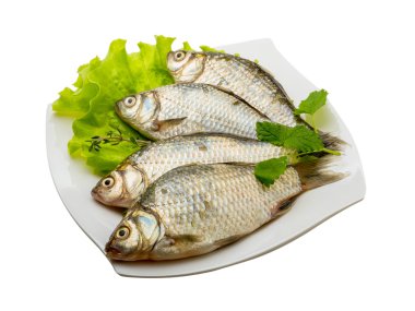 havuz balığı