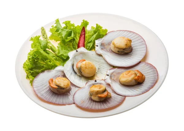 Grilled scallops — Stock Photo, Image