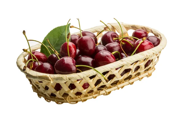 Třešeň ptačí - cherry — Stock fotografie