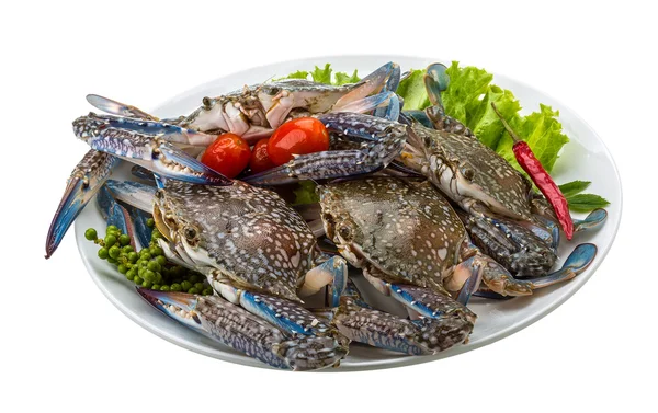 RAW blue crab — Stock fotografie