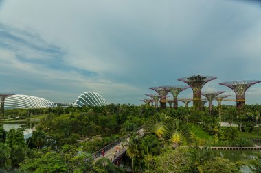 Singapur Körfezi 'ndeki Bahçeler