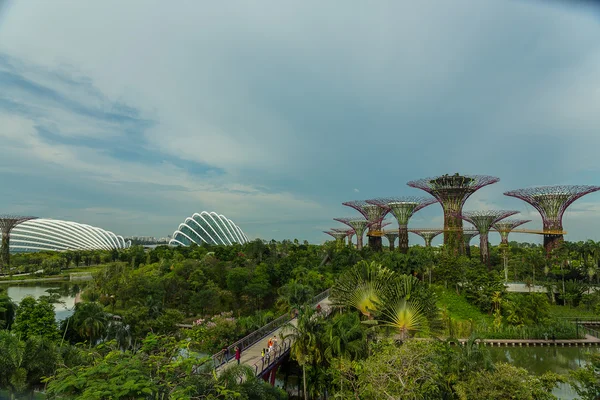 Gardens By The Bay στη Σιγκαπούρη — Φωτογραφία Αρχείου