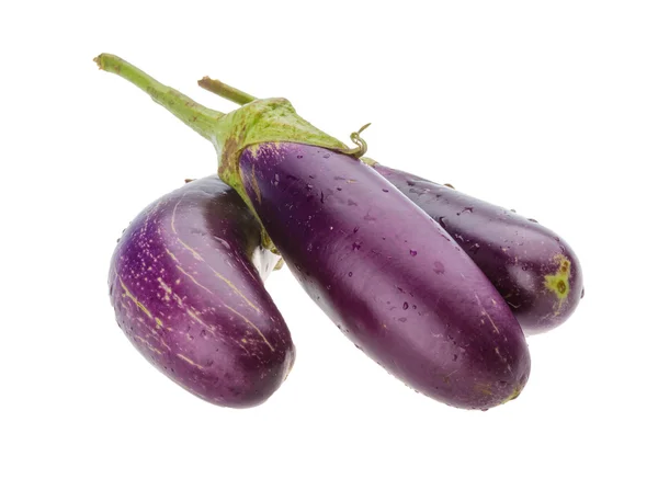 Aubergines violettes — Photo
