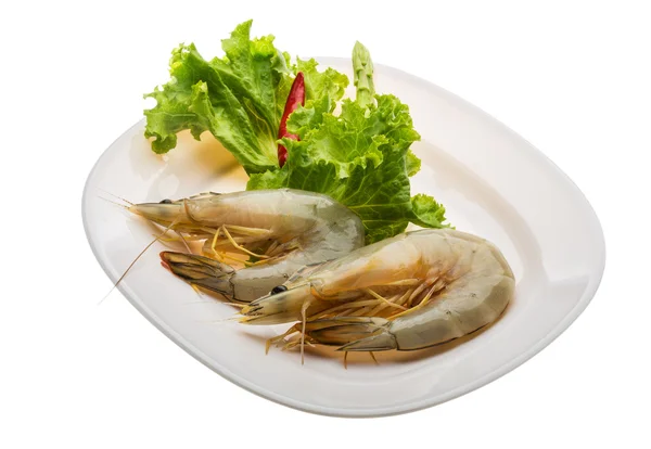 Tiger prawns — Stock Photo, Image