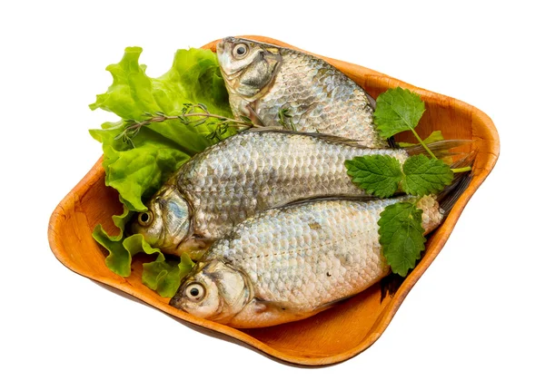 Pesce crociato — Foto Stock