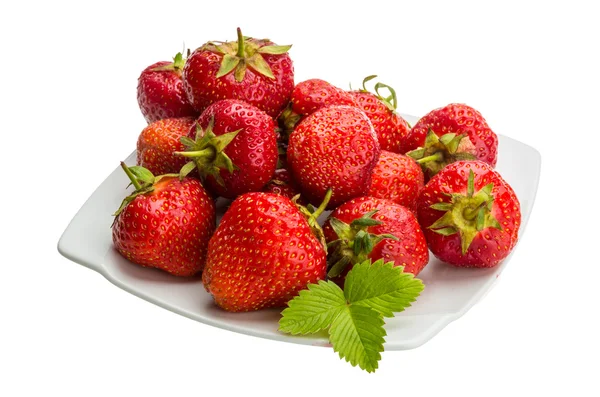 Erdbeeren in Schale — Stockfoto