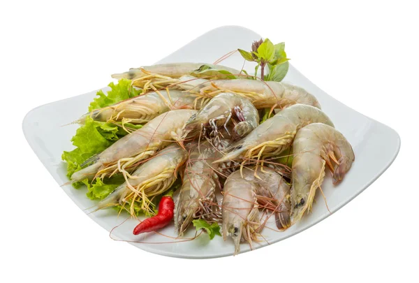 Raw tiger shrimps — Stock Photo, Image
