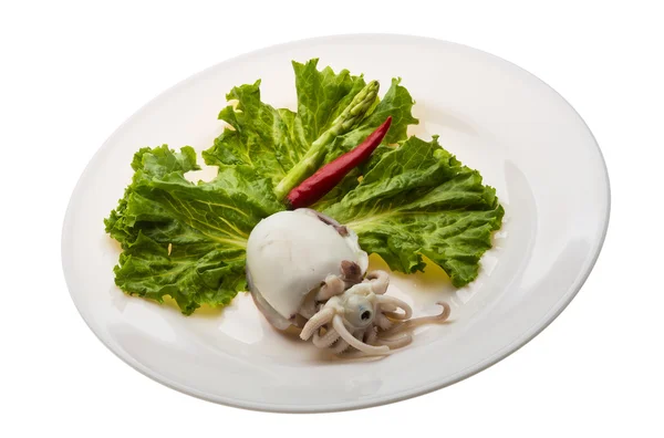 Boiled cuttlefish — Stock Photo, Image