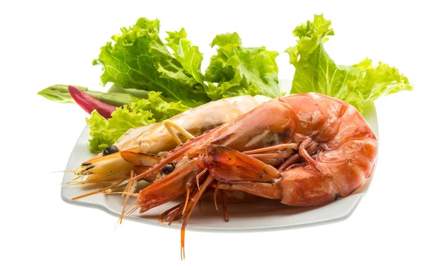 Boiled king prawns — Stock Photo, Image