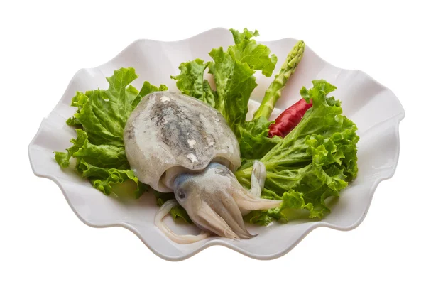 Raw cuttlefish — Stock Photo, Image
