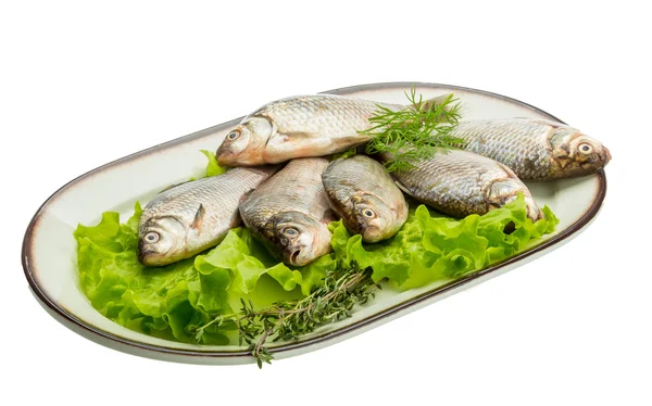 Pesce crociato — Foto Stock