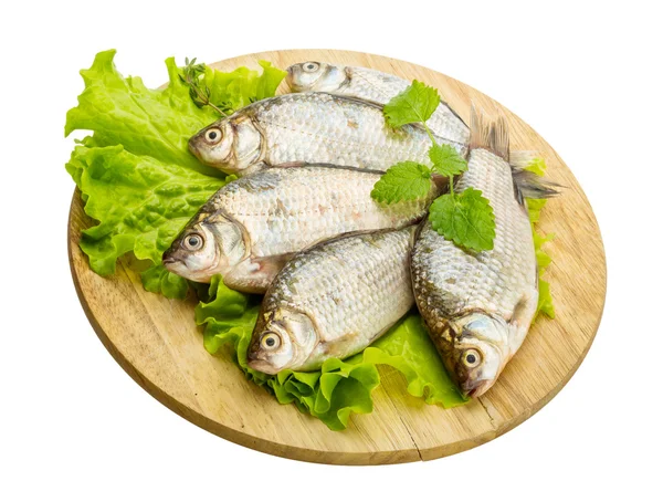 Pesce crociato — Foto Stock