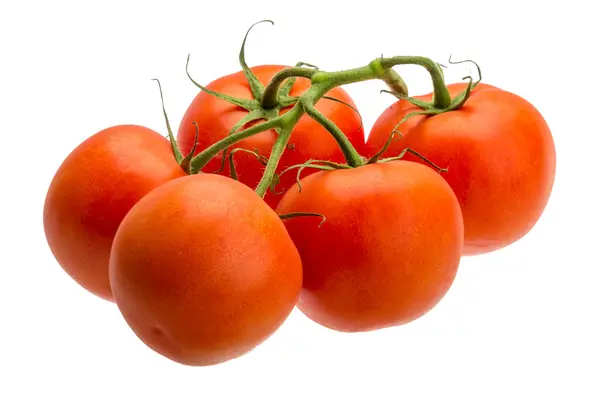 Tomatoes on branch — Stock Photo, Image