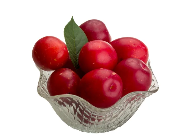 Damson plums — Stock Photo, Image