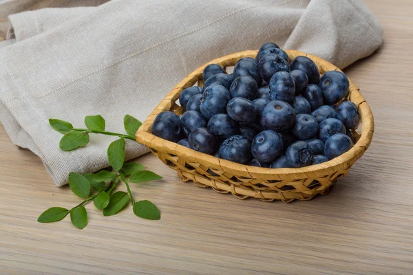 Yaban mersini yaprağı ile — Stok fotoğraf