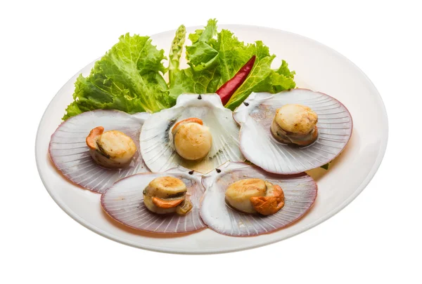 Grilled scallops — Stock Photo, Image