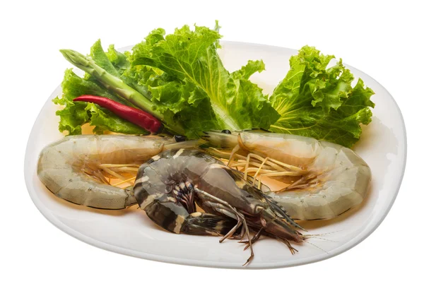 Crevettes roi et jambe d'eau — Photo