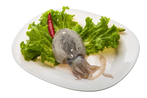 Raw cuttlefish — Stock Photo, Image