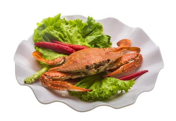 Boiled crab — Stock Photo, Image