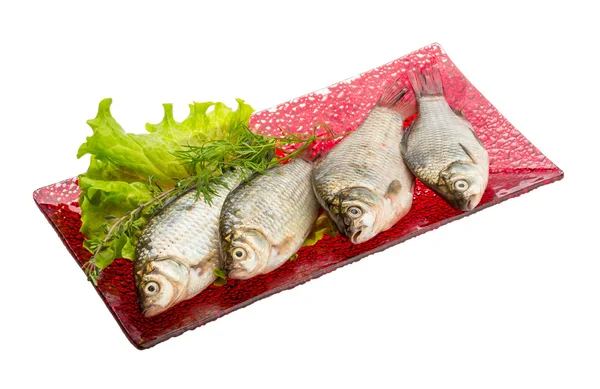Crucian fish — Stock Photo, Image