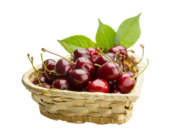 Gean - cherry — Stock Photo, Image