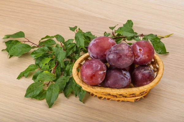 Ciruelas frescas — Foto de Stock