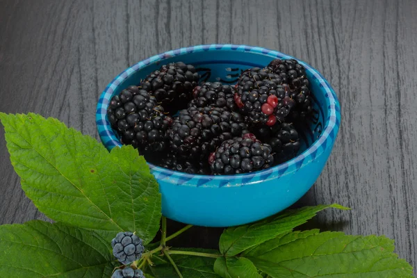 Blackberry Royalty Free Stock Photos