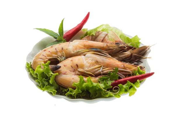 King Prawn — Stock fotografie