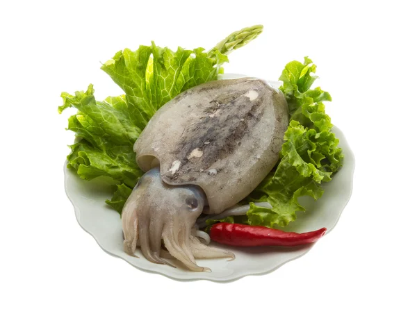 Raw cuttlefish — Stock Photo, Image