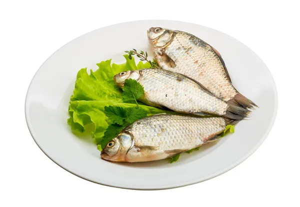 Pesce crociato — Foto Stock