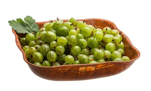 Gooseberries — Stock Photo, Image