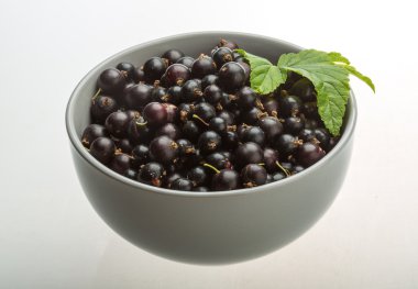 Siyah frenk üzümü