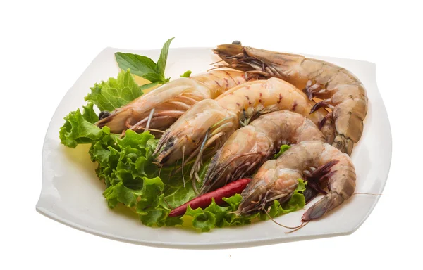 Langostino —  Fotos de Stock