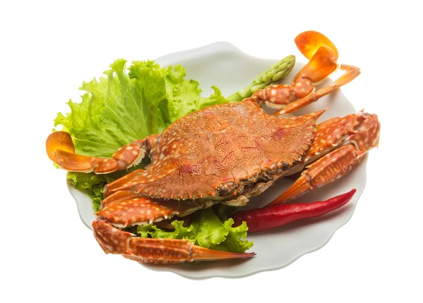 Gekookte krab — Stockfoto