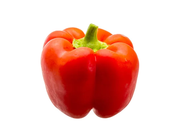 Red bulgarian pepper — Stock Photo, Image