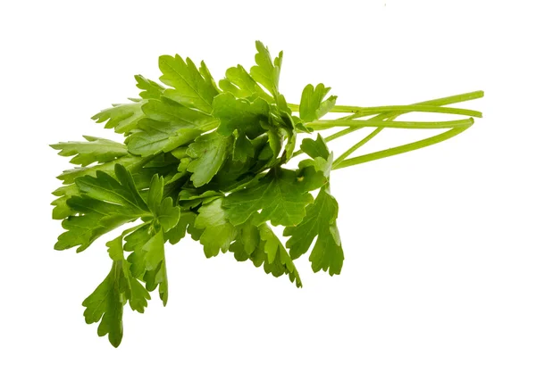 Parsley — Stock Photo, Image